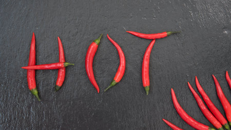 Word hot on a chalkboard. Red chili peppers. Black slate background. Hot seasoning conceptの写真素材