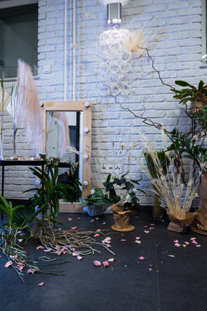 Wall decoration in an office or apartment. Interior decoration with live and dried plants. Eco-friendly corner. Twilight and courtyard lightの写真素材