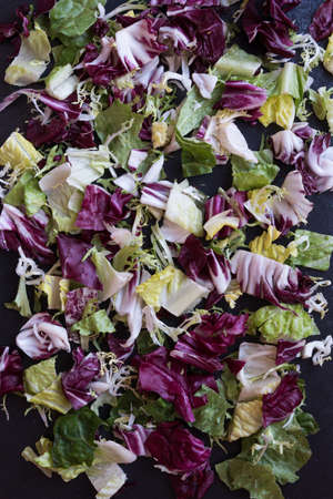 Chopped greens top view. Fresh cabbage of different colors. Background, textureの写真素材