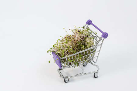 There are microgreens in the shopping cart. Microgreens purchase concept. White backgroundの写真素材