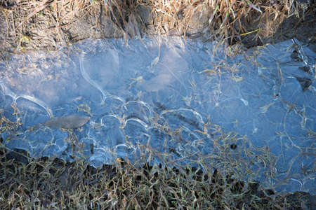 View from above. Frozen puddle. The ice formed a natural pattern. Abstraction