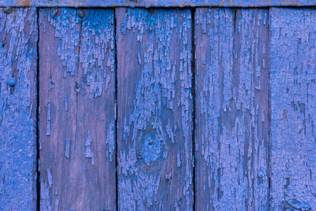 Boards of delicate blue and pink shades. The texture of a wooden fence. Background, textureの写真素材