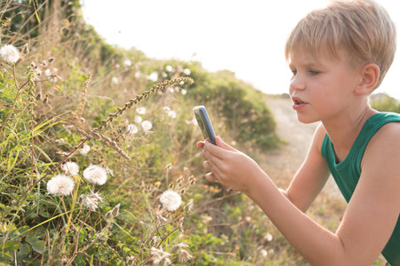 The child takes pictures on a mobile phone. The girl is interested in biology. The boy examines the spider. The child has found a cobweb and a spider and is taking close-ups. Summer beautiful paintingの写真素材