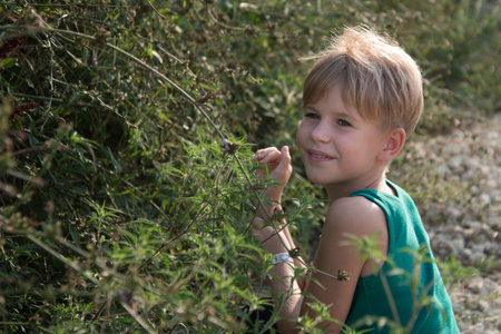 Summer portrait of a happy child. Girl with short hair and blond hair. A blond boy surrounded by herbs. A child in a meadow in the rays of the setting sun. Positive warm pictureの写真素材