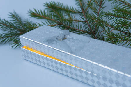 A gift in a shiny box. The box with a surprise lies among the twigs of the Christmas tree. Light...