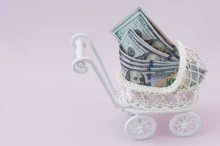 In the stroller for newborns are American dollars. The concept of assistance to families with...