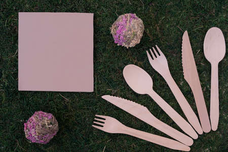 The concept of caring for the environment. On a natural background there is a disposable plate made of environmentally friendly components. Avoid plastic utensils. Background from moss and grass. There is space for text.の写真素材