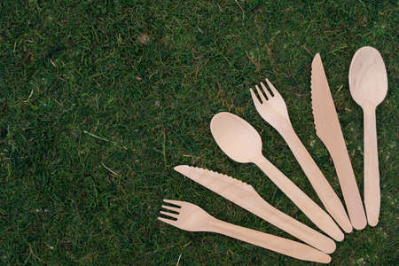 The concept of caring for the environment. On a natural background there is a disposable plate made of environmentally friendly components. Avoid plastic utensils. Background from moss and grass. There is space for text.の写真素材