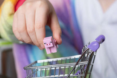 Close-up of childrens hands. The child, during the game, puts the pig figurine in a shopping basket. The concept of buying porkの写真素材