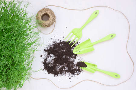 The concept of spring work in the garden. Seedlings and other plants. View from above. Garden tools, a handful of earth and plants. Beautiful background, postcardの写真素材