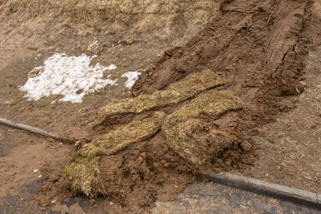 Poor quality turf. Dead plants on the slope. Yellowed rolled lawn. The lawn did not take root