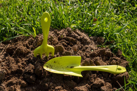 Shovel and rake in the ground. A bed in the garden. Spring, summer time. Cultivation of the landの写真素材