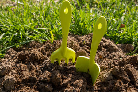 Shovel and rake in the ground. A bed in the garden. Spring, summer time. Cultivation of the landの写真素材