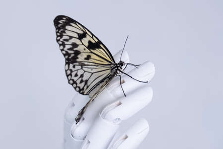 A delicate beautiful butterfly sits in the robots hand. The concept of the fragility of life