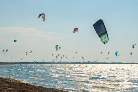 Lots of kites. Sea coast, in the coastal zone there are many extreme sports athletesの写真素材