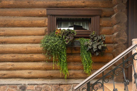 Beautifully decorated window in a wooden house. A small window is decorated on the outside with a small flower bed. Box with elegant flowersの写真素材