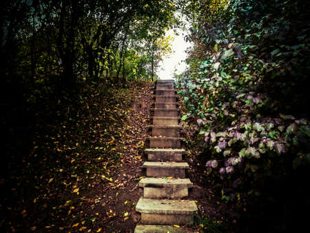 Stairs in natureの写真素材