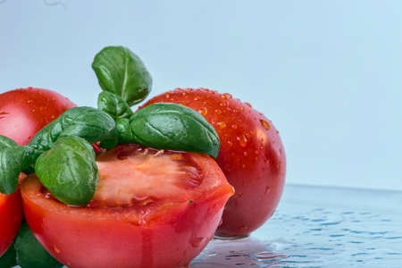 The fresh tomatoes and basilの写真素材