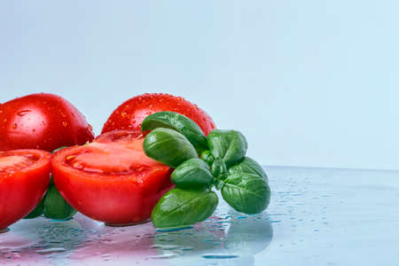 The Tomato and basilの写真素材