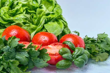 The Tomato saladの写真素材