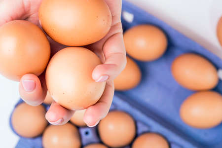 Eggs in Handの写真素材