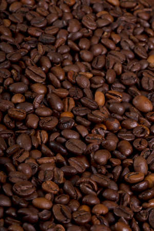 Coffee cropsの写真素材