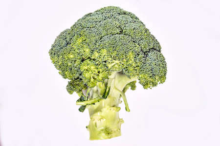Broccoli isolated on white backgroundの写真素材