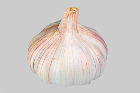 Garlic isolated on a white backgroundの写真素材