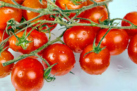 Cherry tomatoes on a white backgroundの写真素材