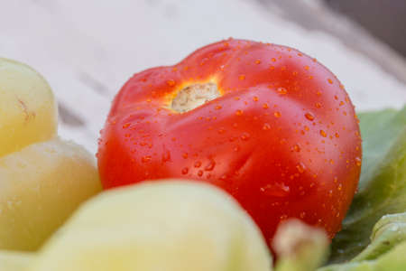 Wet tomato in daylightの写真素材