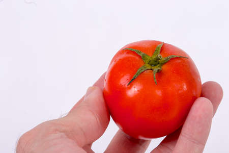 Tomato in handの写真素材