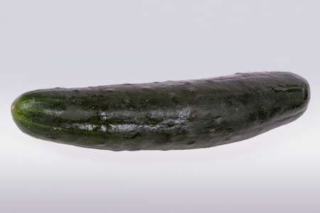Cucumber isolatedの写真素材