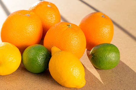 Citrus fruits in the sunlightの写真素材