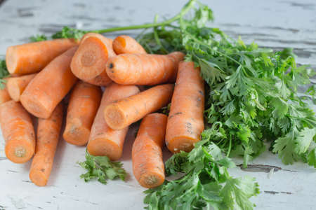 Fresh carrotsの写真素材