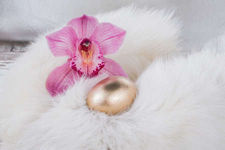 Orchid and a golden egg for Easterの写真素材