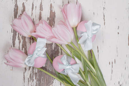 Pastel pink tulips for Easterの写真素材