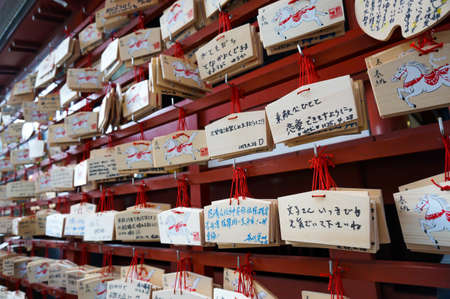 E-maのeditorial素材