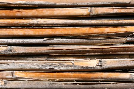 this is a closeup shot of old sedge in lineup like backgroundの写真素材