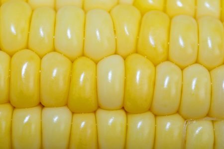 this is i close up shot of boiled corn like nice background