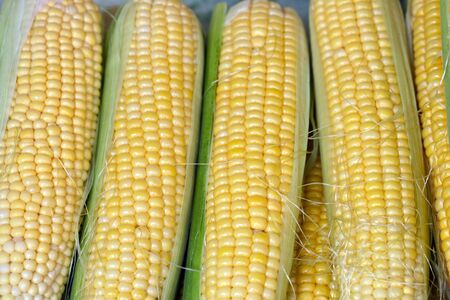 this is a close up shot of bundle of corn, like nice food background