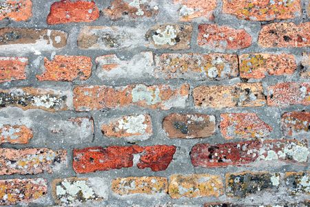 Closeup shot of old brick wall on the Petrovaradin fortress in Serbia, like nice background