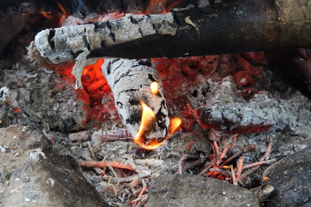 Closeup shot of wood burning in flame.