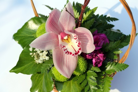Pink Orchid in green flower arrangment.の写真素材