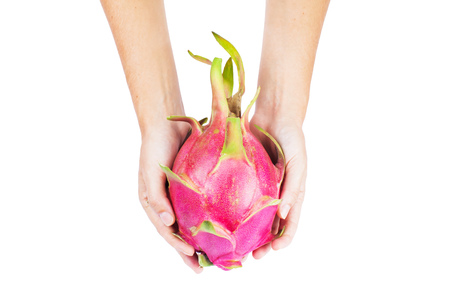 Dragon fruit in hands isolated on whiteの写真素材