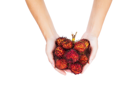 rambutan in hands isolated on whiteの写真素材
