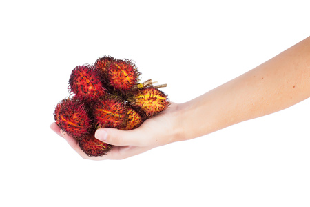 rambutan in hands isolated on whiteの写真素材