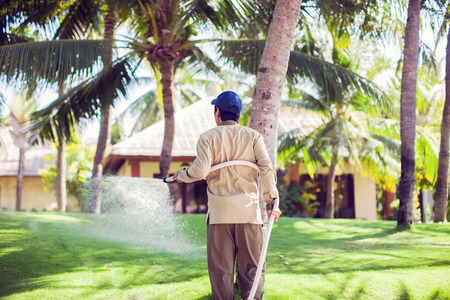 man pouring water on the grass in the gardenの写真素材