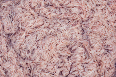 Fresh krill shrimp background sea food naturalの写真素材