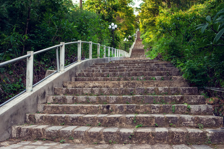A stair way in the green gardenの写真素材