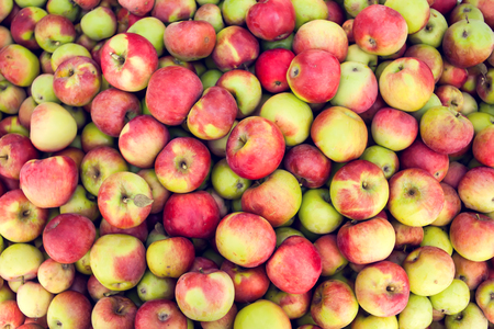 Green apple raw fruit backgrounds, natural healthy organic fresh productの写真素材